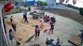 Villagers help neighbour collect and shelter wheat from rain in China