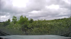 Ryanair makes a go around under suspicious circumstances at LBA