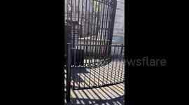 Preparation for workers' demonstration outside gates of Downing Street in London, UK