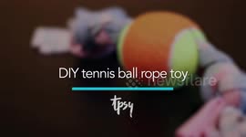 How You Can Turn an Old T-Shirt into a Toy Your Dog Will Love