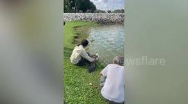 Park-goers rescue eagle tangled in fishing line in Singapore