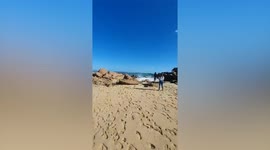 Massive wave nearly sweeps away tourists in Australia