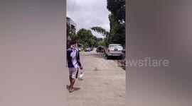 Smart dog helps owner go shopping in the Philippines
