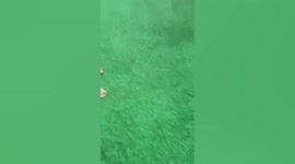 Mother finds missing phone frozen inside refrigerator