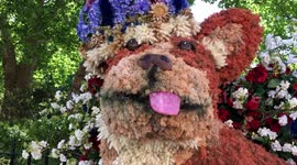 Shops in London's Chelsea celebrate the Queen's Platinum Jubilee with extravagant floral displays