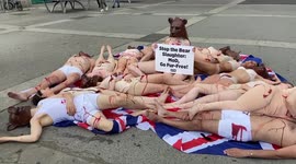 Partially nude PETA activists stage a ‘die-in’ at Marble Arch in protest against bear skins in Queen’s Guards’ caps