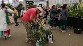 Displays stripped bare in minutes as public go wild for plants on last day of Chelsea Flower Show