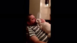 Doggie says