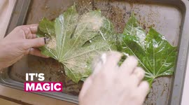 Noam is a gender fluid chef, using the power of food to break the stereotype and hierarchy in culinary world.