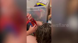 US mum raises her children to be bilingual by only letting them watch TV in Spanish