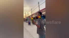 Six tame pet parrots perch on man's hands and shoulders