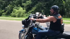 Scampi trying out her new Harley