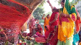 Married Indian women fast and wrap ceremonial thread around banyan trees as they observe Vat Purnima festival