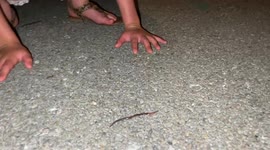 Canadian dad and curious daughter discover Asian jumping worm