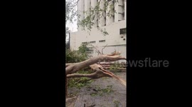 Intense thunderstorm blasts India's Delhi causing severe damage