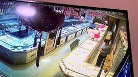 Staff bewildered after wild boar breaks into jewellery store in China