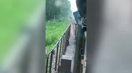 Pilot stops train to let elephant cross railway track in eastern India