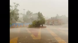 Short but intense storm hammers Delhi region, causing major damage