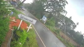 Uprooted tree falls onto road during tropical storm in southern Thailand