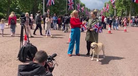 Platinum Jubilee, The Mall, London, today (31 May 2022) - overseas media interview with Royal enthusiasts
