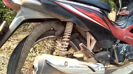 Hapless monitor lizard gets stuck in motorcycle while trying to escape stray dogs