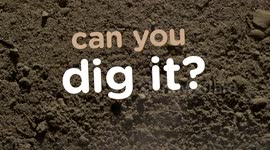 Aardvark’s Work Really Hard Digging Holes That Are 2 Feet Deep