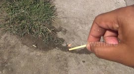 3 Funny And Enjoyable DIY Life Hacks Tricks