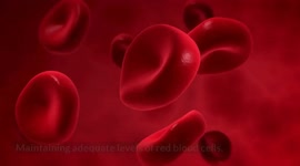 Low Testosterone (Male Hypogonadism) :- Causes, Signs & Symptoms, Treatment