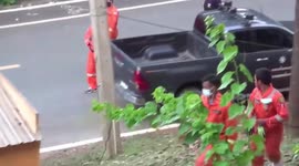 Baby monkey with stuck rope cutting into its body rescued in Thailand