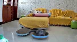 Cats scurry under sofa as 6.1-magnitude earthquake rocks southern China