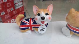Corgi Gnomes