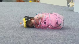 So cute! Toddler wearing butterfly costume falls asleep on stage in China
