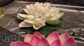 Platinum Jubilee: 70 years