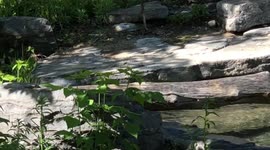 Canadian River Otter visit at the Ecomuseum in Canada was entertaining