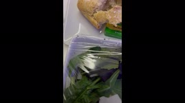 American Airlines passenger finds 'live bugs' in business class salad