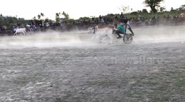 Hundreds gather to watch traditional cattle racing event in Indonesia