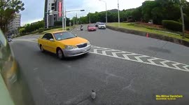 WTF MOMENT: Wandering pigeon saved by moped rider (Dashcam Video)