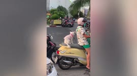 Adorable pet cat hitches a ride on owner's motorcycle test