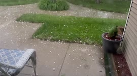US: Large Hail Hits Omaha, Nebraska Amid Severe Thunderstorm Warning 3