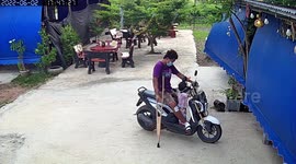 Hero pet dogs save injured father and toddler daughter from deadly cobra