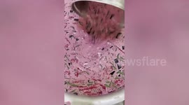 Singapore minimart makes popular Indian pink dessert called 'falooda'