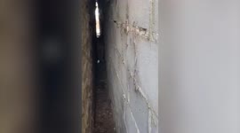 Fire crew rescues sheep firmly wedged between two walls