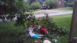 Siblings play in trees