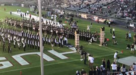 Mascot Mishap