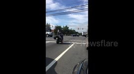 Dog rides motorcycle