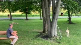 Boy falls off bicycle