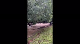 Heavy rain causes flooding in Central Alabama