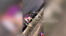 Hero passer-by rescues kitten drowning in dirty canal in Thailand