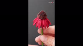 Cornflower or paper? Creative artist creates clever illusion