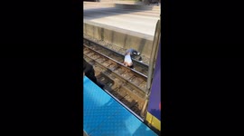 Man rescued from train tracks